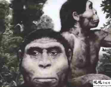 最近很火的18000年前猿人的搞笑文案带图片 让人意想不到的沙雕句子6