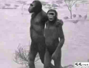 最近很火的18000年前猿人的搞笑文案带图片 让人意想不到的沙雕句子7