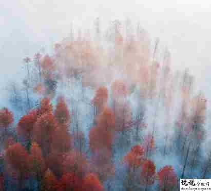 秋季降温的文案带图片 秋季降温问候语的文案4
