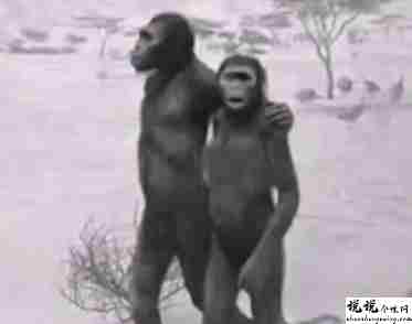 最近很火的18000年前猿人的搞笑文案带图片 让人意想不到的沙雕句子1